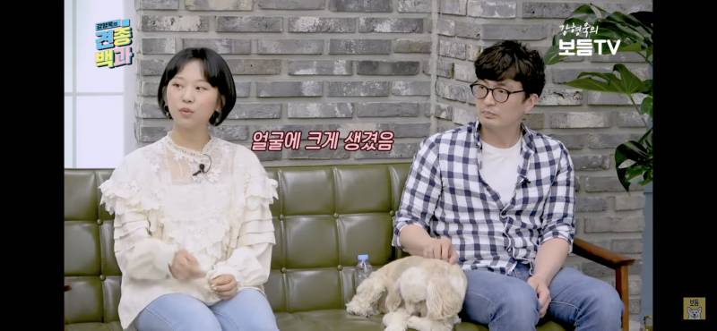 견종백과 보는데 강아지들 이거 너무 귀여워ㅠ | 인스티즈