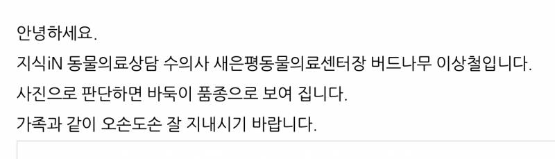 ㅋㅋㅋㅋㅋㅋㅋ이거봐 너무 귀여워…지식인 강아지 질문 | 인스티즈