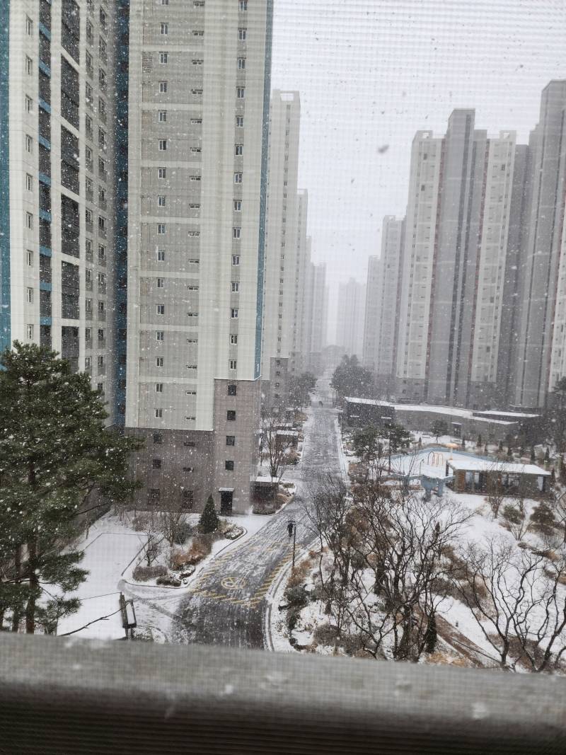 눈온다 | 인스티즈