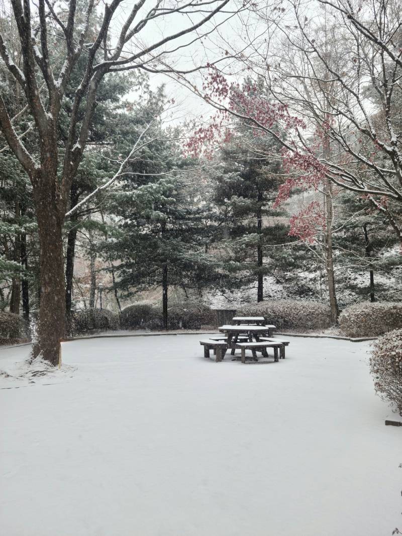 갤럭시 맘이 드는 점 하나! | 인스티즈