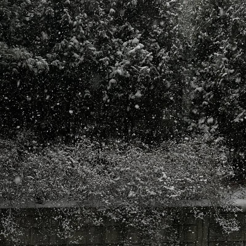 영화보러 나가야하는데 눈이 너무 많이 오네..... | 인스티즈