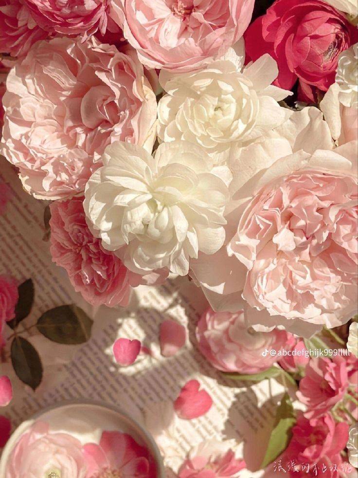 디자인이나 인쇄쪽 일 하는 익인 있어?? 이런거 많이 비쌀까? | 인스티즈