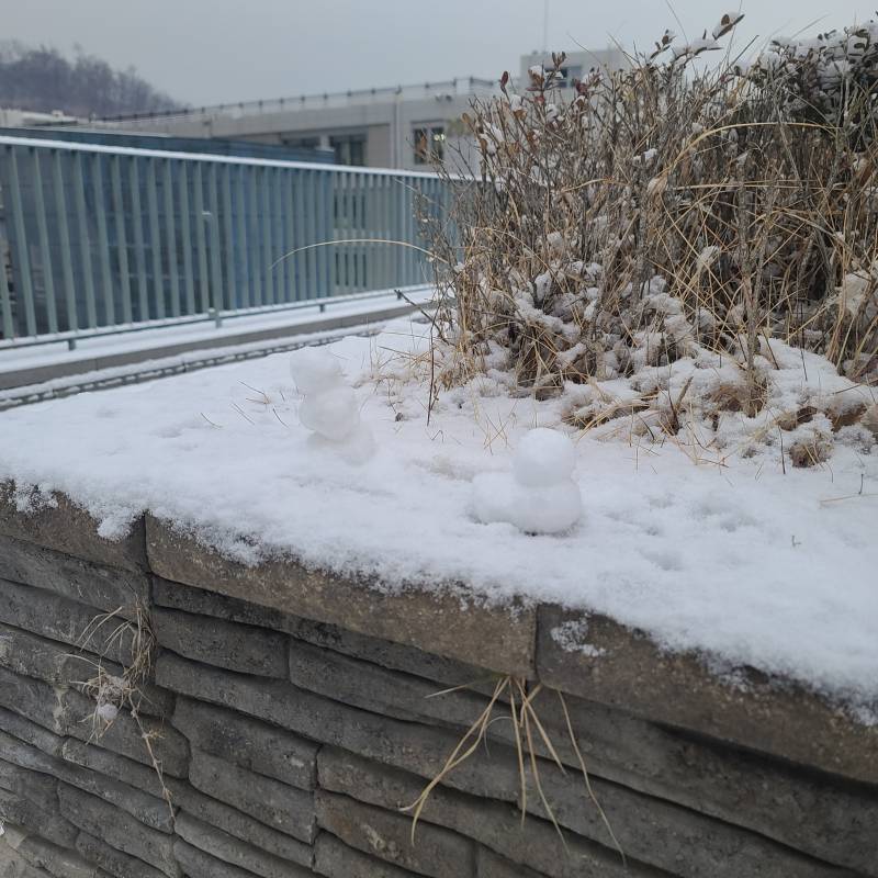 학교에 사람들이 눈사람 만들어둠 ㅋㅋ | 인스티즈