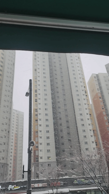 눈 보이니?미쳤어 | 인스티즈