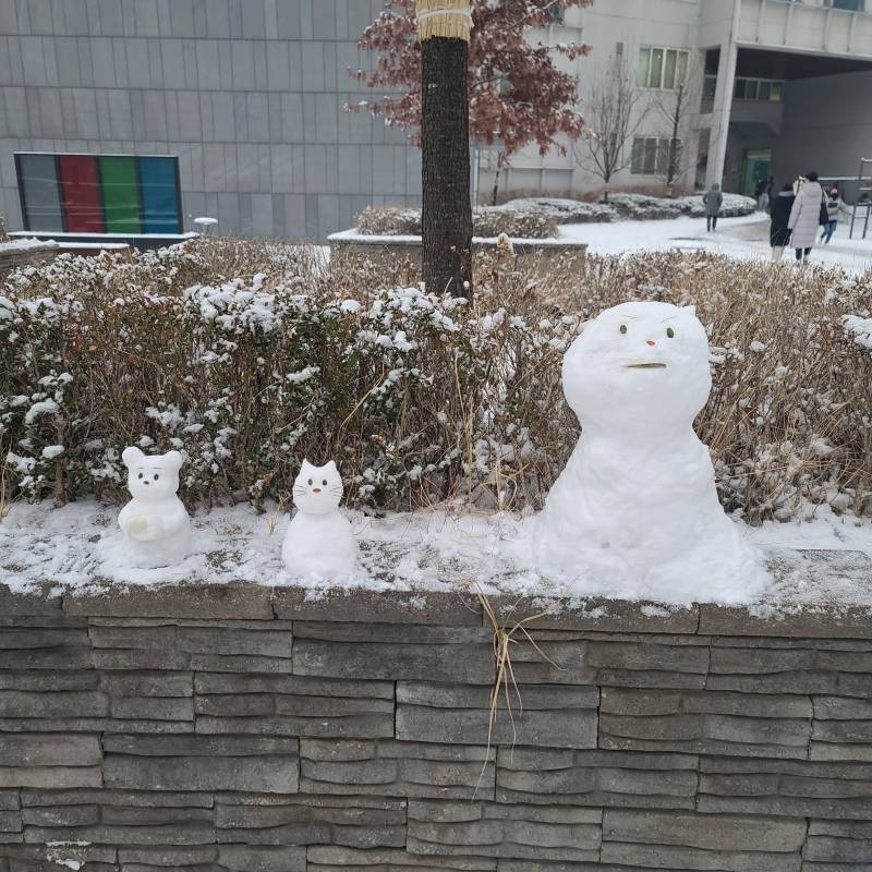 학교에 사람들이 눈사람 만들어둠 ㅋㅋ | 인스티즈