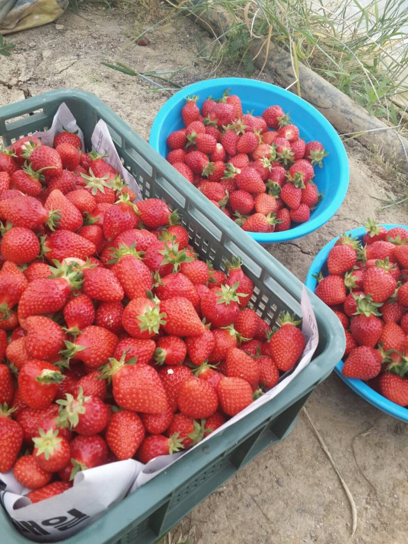 난 진짜 복받은게 ,,,, | 인스티즈