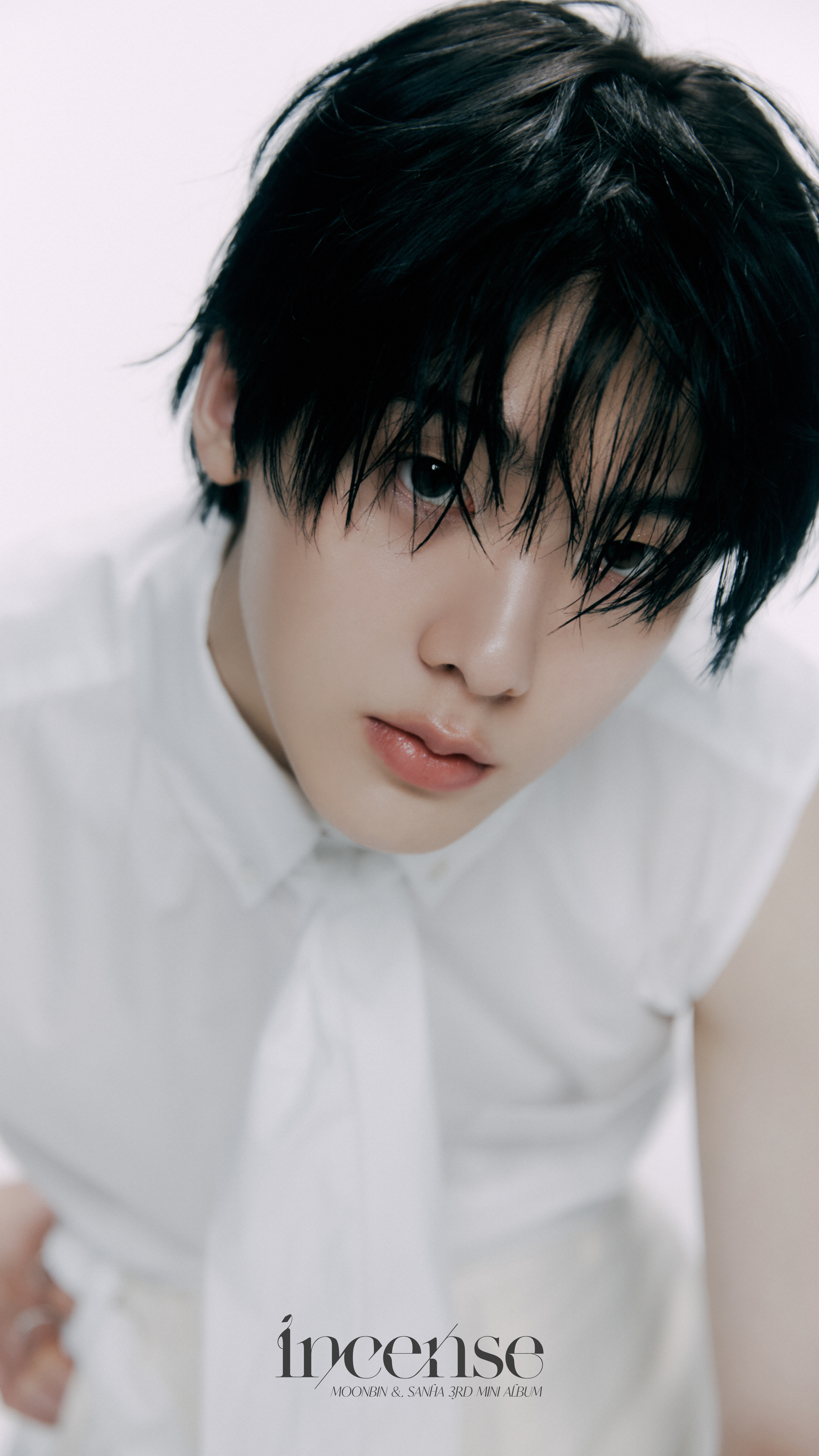 [잡담] 이번에 각 잡고 열일하는 듯한 판타지오 | 인스티즈