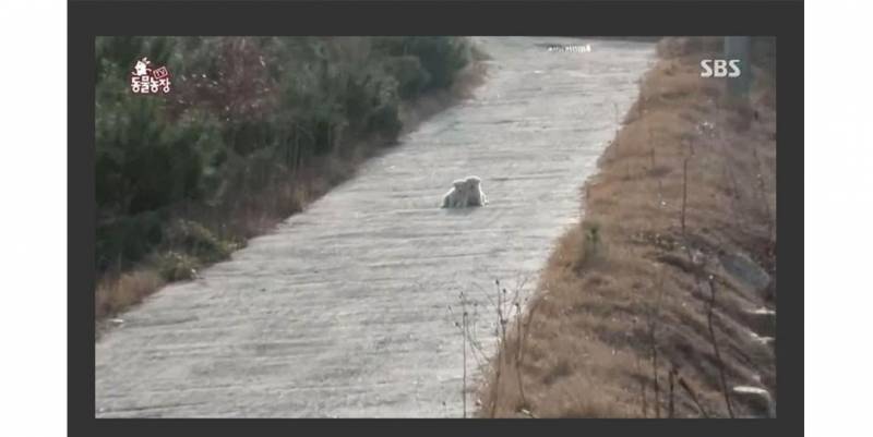 저거 몬지 알아?ㅋㅋㅋ | 인스티즈