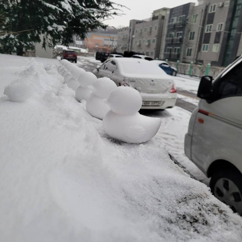 눈오리 왜 재밌는걸까 | 인스티즈