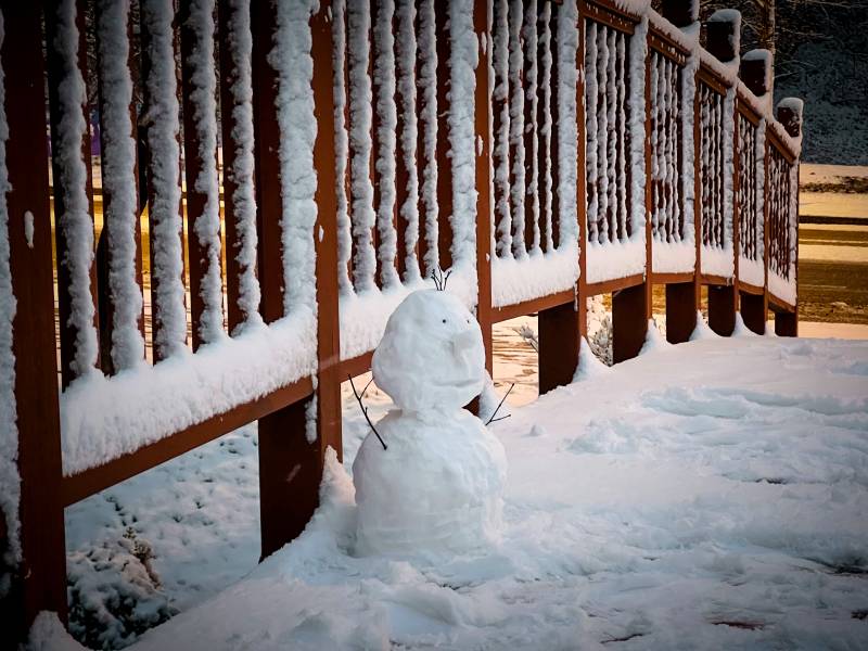눈 내리는 우리 학교 사진 보구가세요❄️ | 인스티즈