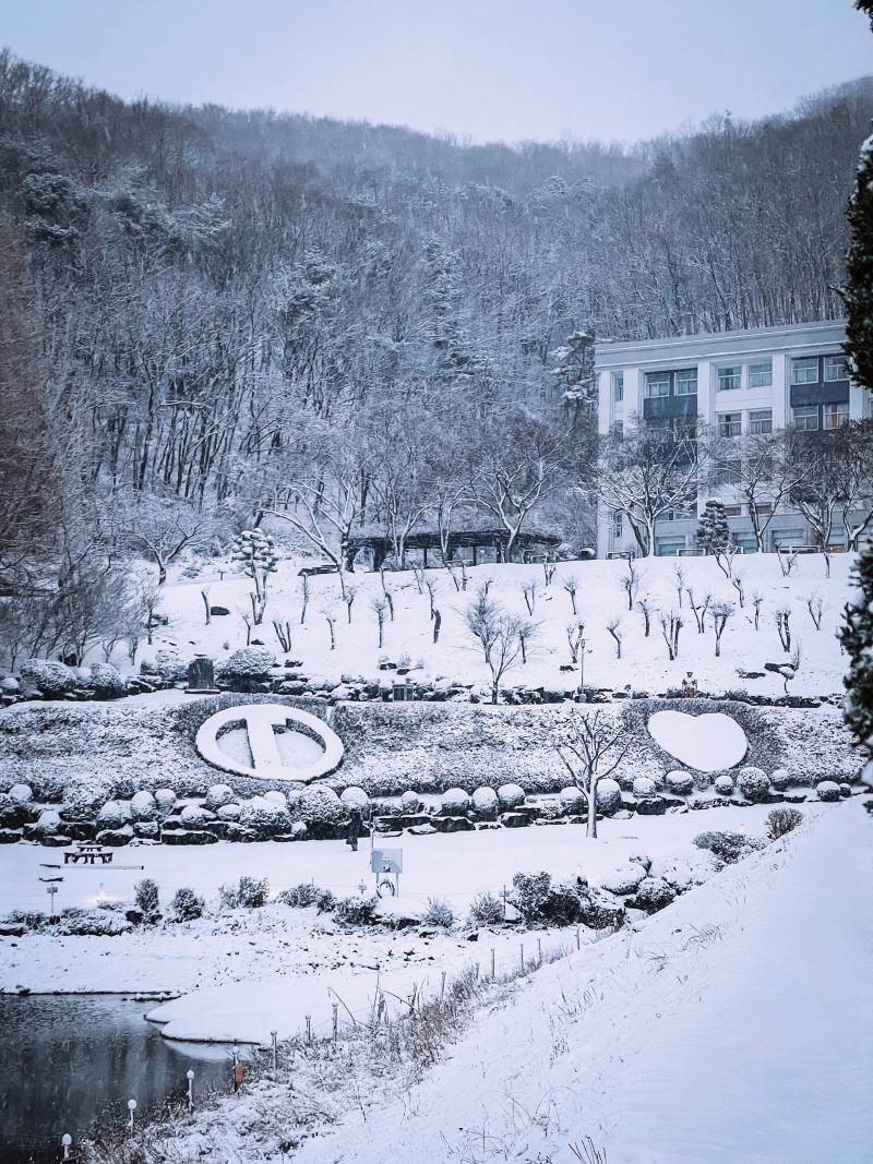 눈 내리는 우리 학교 사진 보구가세요❄️ | 인스티즈