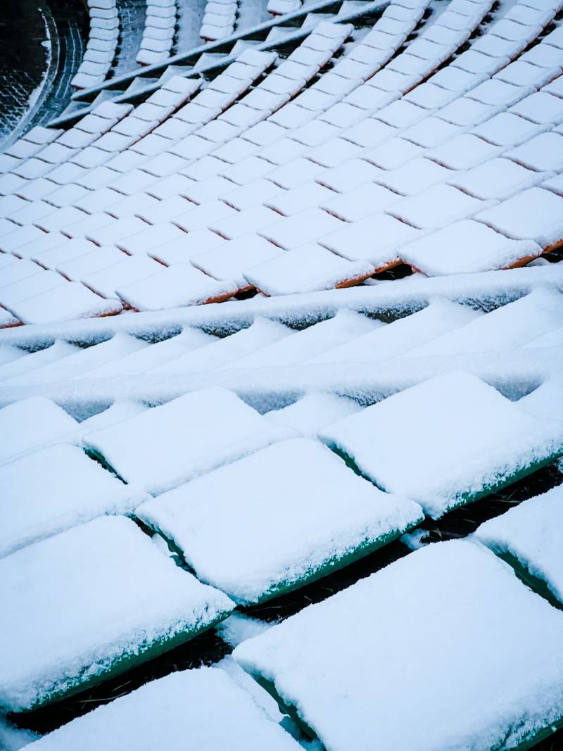 눈 내리는 우리 학교 사진 보구가세요❄️ | 인스티즈