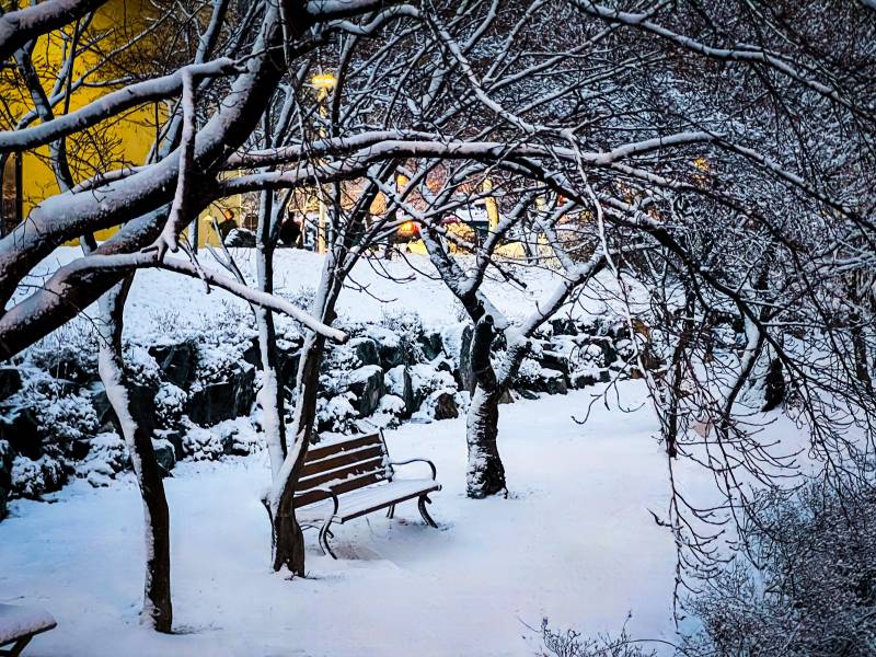 눈 내리는 우리 학교 사진 보구가세요❄️ | 인스티즈