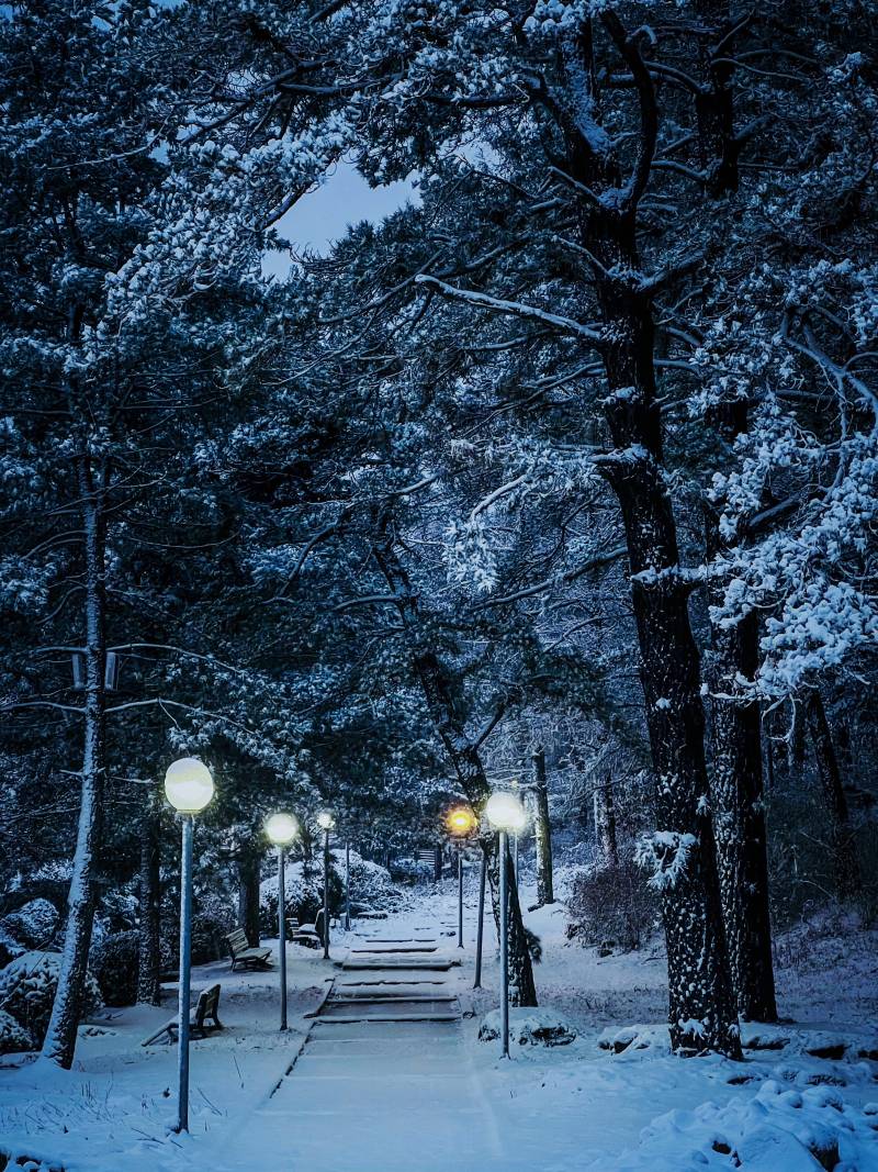 눈 내리는 우리 학교 사진 보구가세요❄️ | 인스티즈