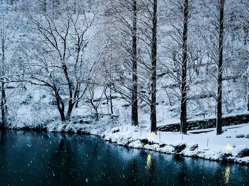 눈 내리는 우리 학교 사진 보구가세요❄️ | 인스티즈