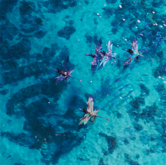 아바타2 영상미 쩐다는 말 많이 듣고 영화 봤는데(짤 있음) | 인스티즈