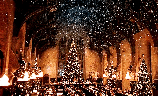 너네 크리스마스때 뭐할거야???🎄 | 인스티즈