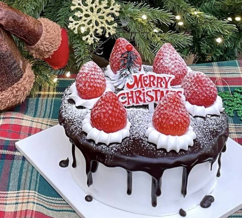 크리스마스 케이크 가격 어때?? | 인스티즈