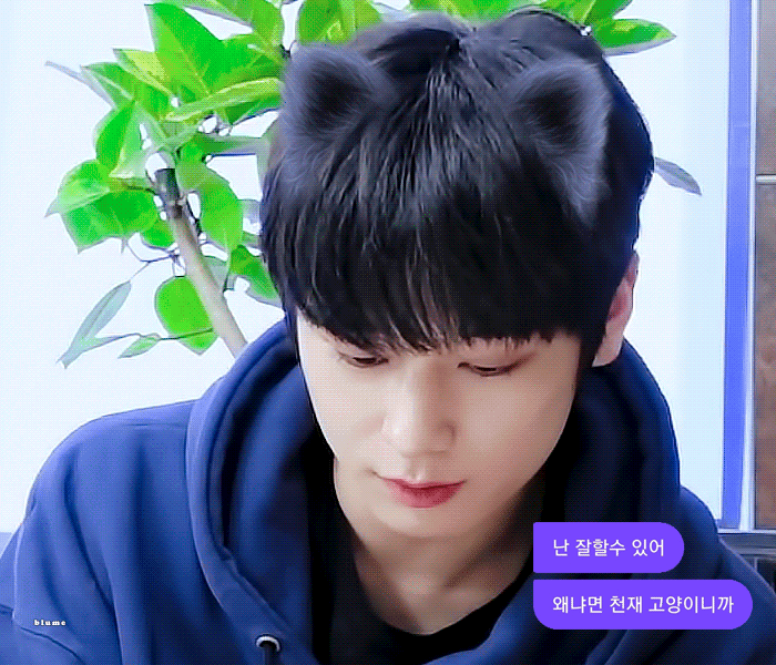 [잡담] 주연이는 진짜 고양이 같다..... | 인스티즈