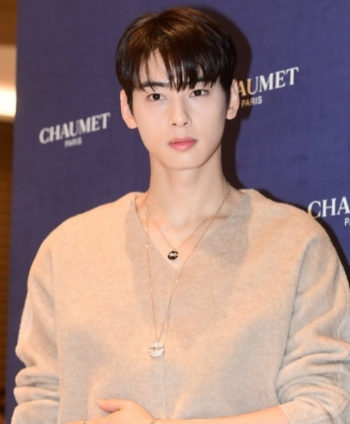 [잡담] 요즘 차은우 기사 사진 상태 | 인스티즈