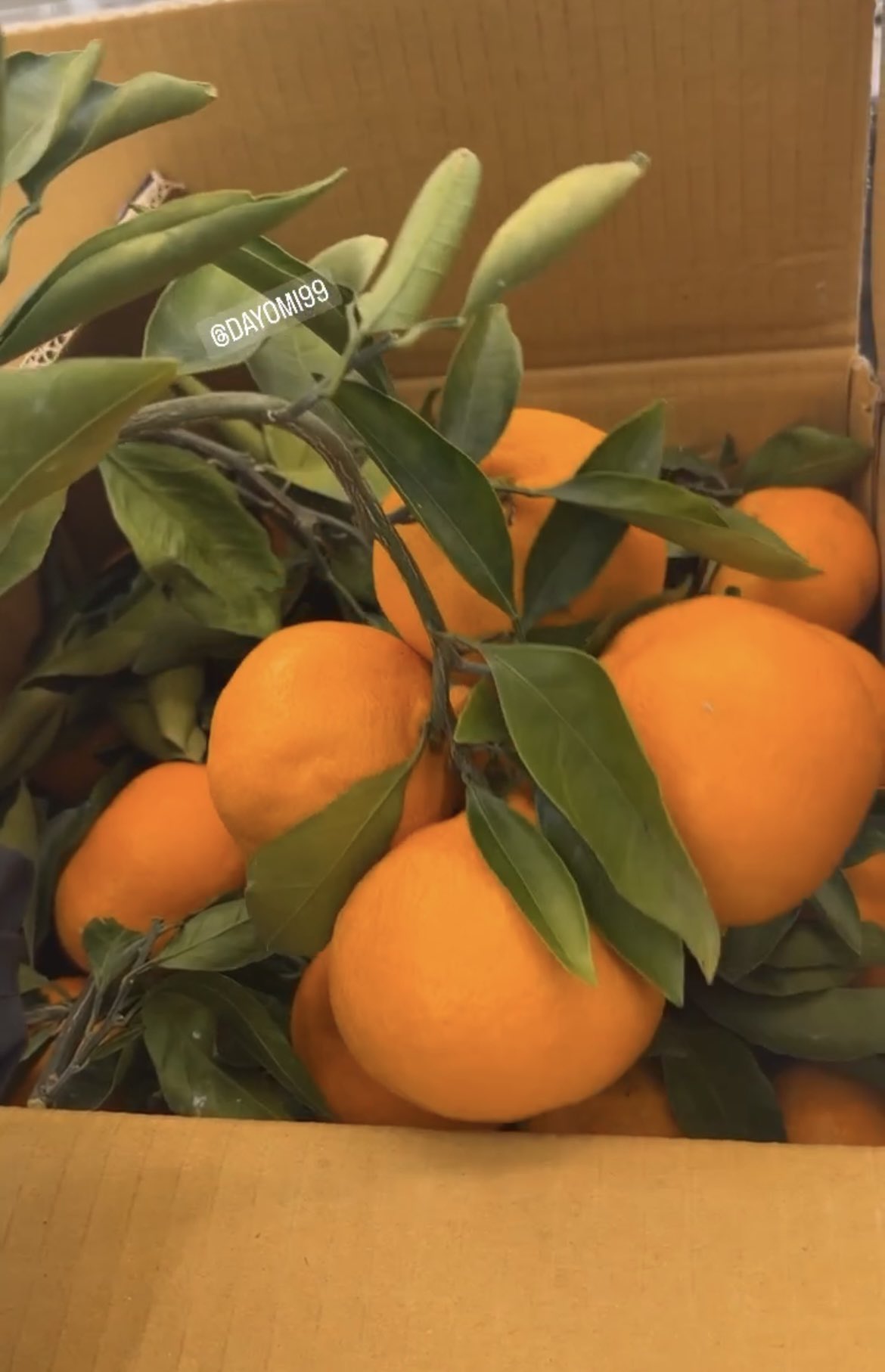 [잡담] 퇴사한 직원도 연락하게 하는 | 인스티즈