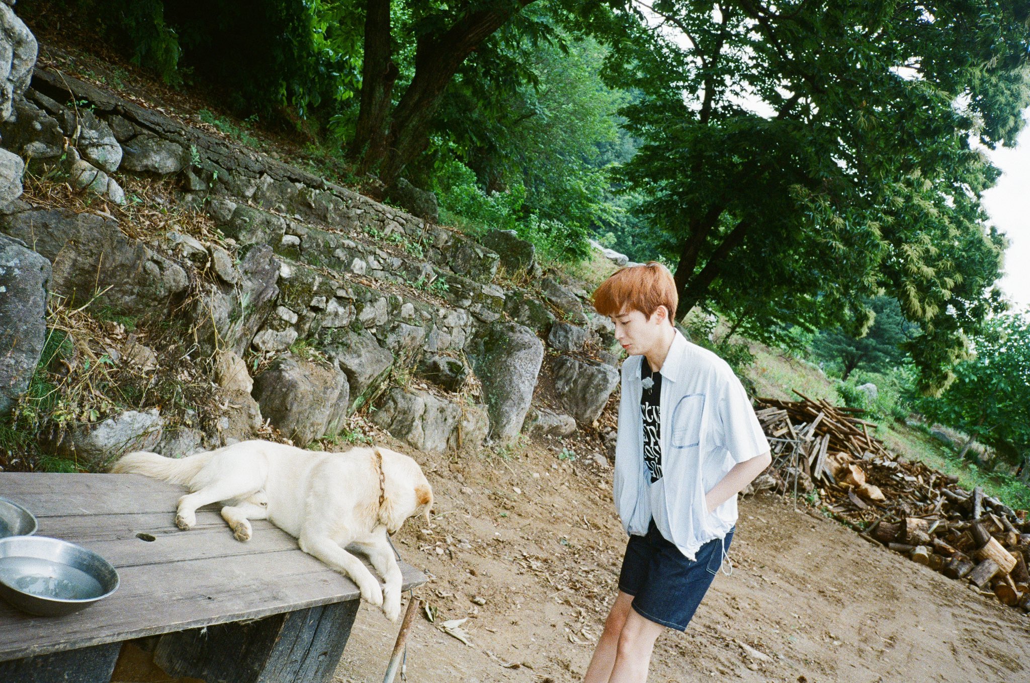 [잡담] 구정모 필카 사진 좋아 | 인스티즈