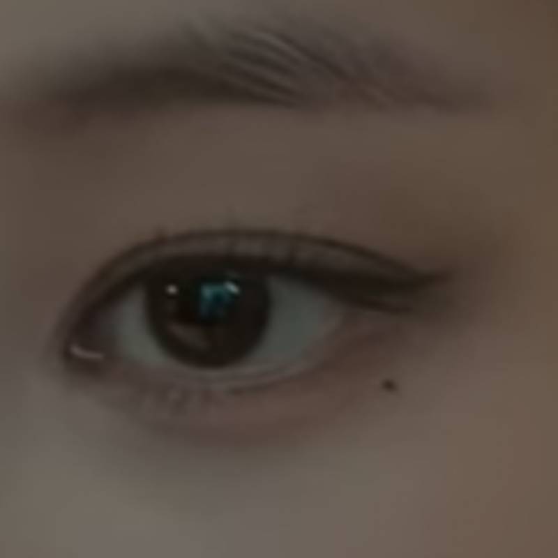 이 눈은 인아웃이야 세미아웃이야?? - 인스티즈(instiz) 일상 카테고리