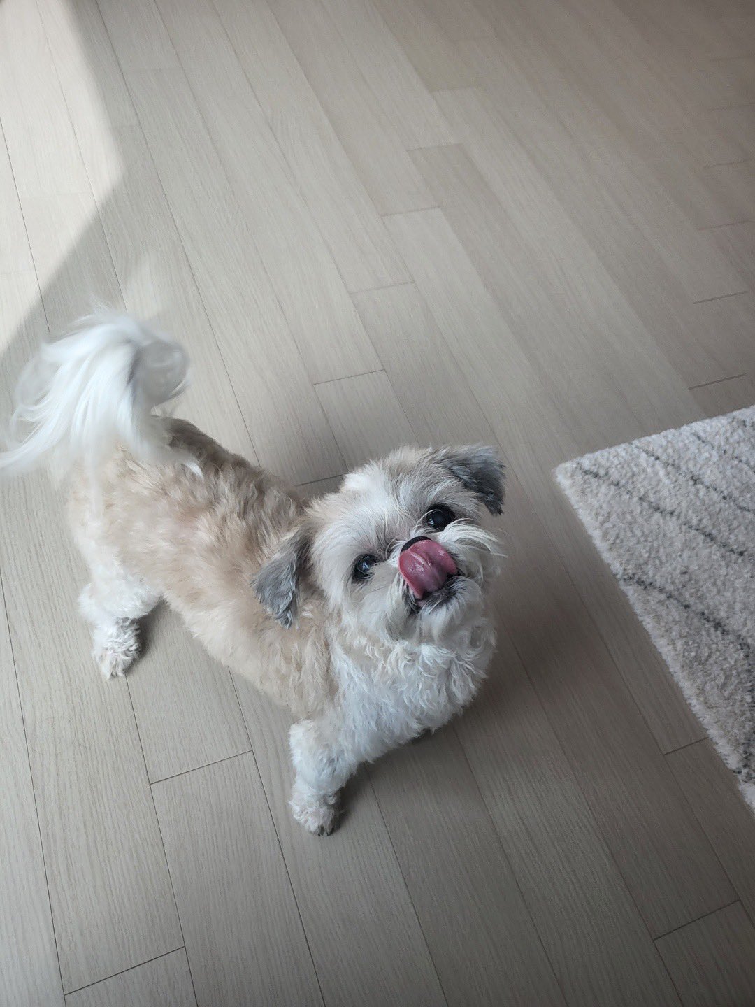 [잡담] 이재현 이다롱 형제 | 인스티즈