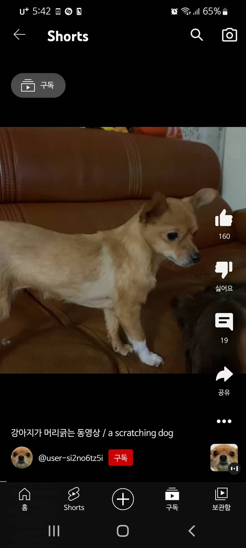 얘 무슨 종임? | 인스티즈