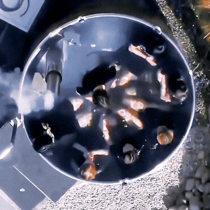 [잡담] 야채튀김이들 너무 귀엽다 | 인스티즈