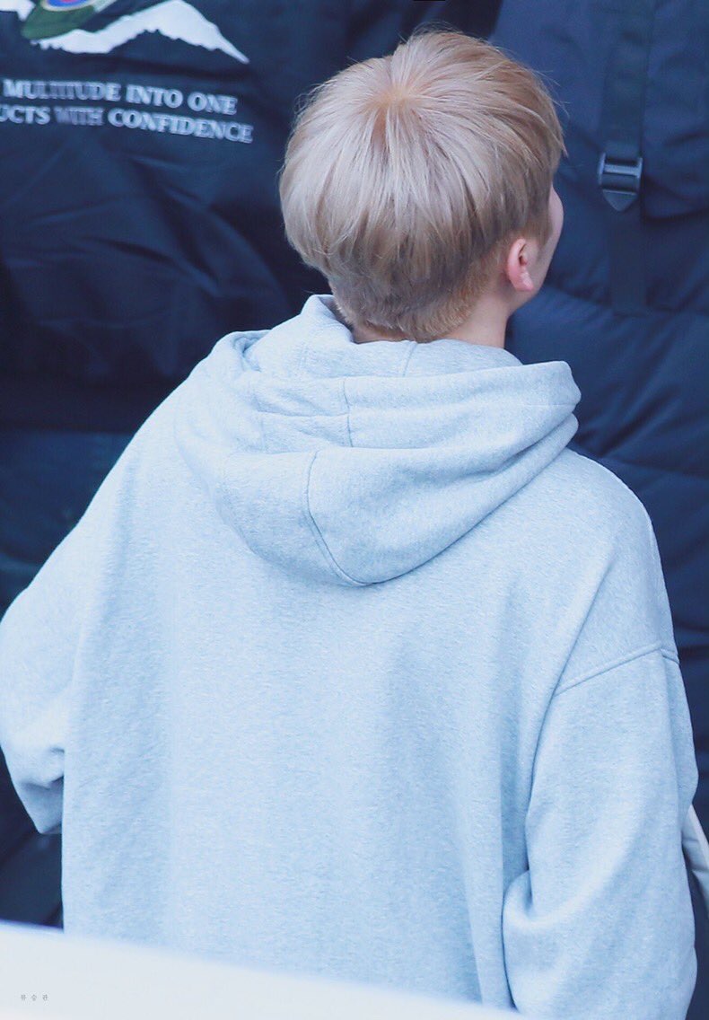 [잡담] 동글동글 귤 | 인스티즈