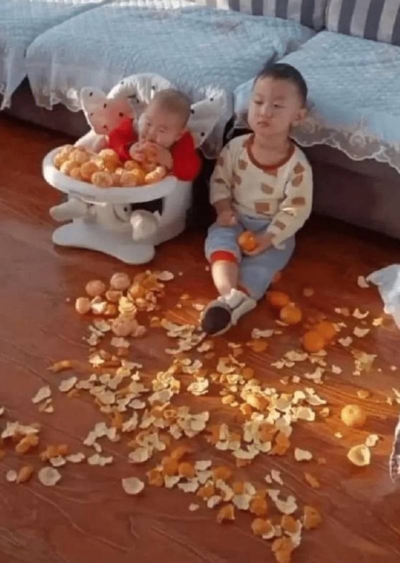 하루종일 귤이나 까먹고 싶다 | 인스티즈