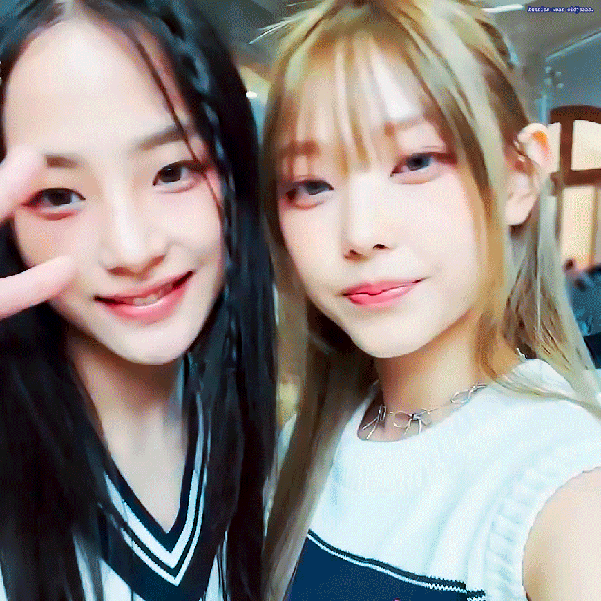 [잡담] 뉴진스 치트키조합 사랑혀 🐶🐱🐕🐈 | 인스티즈