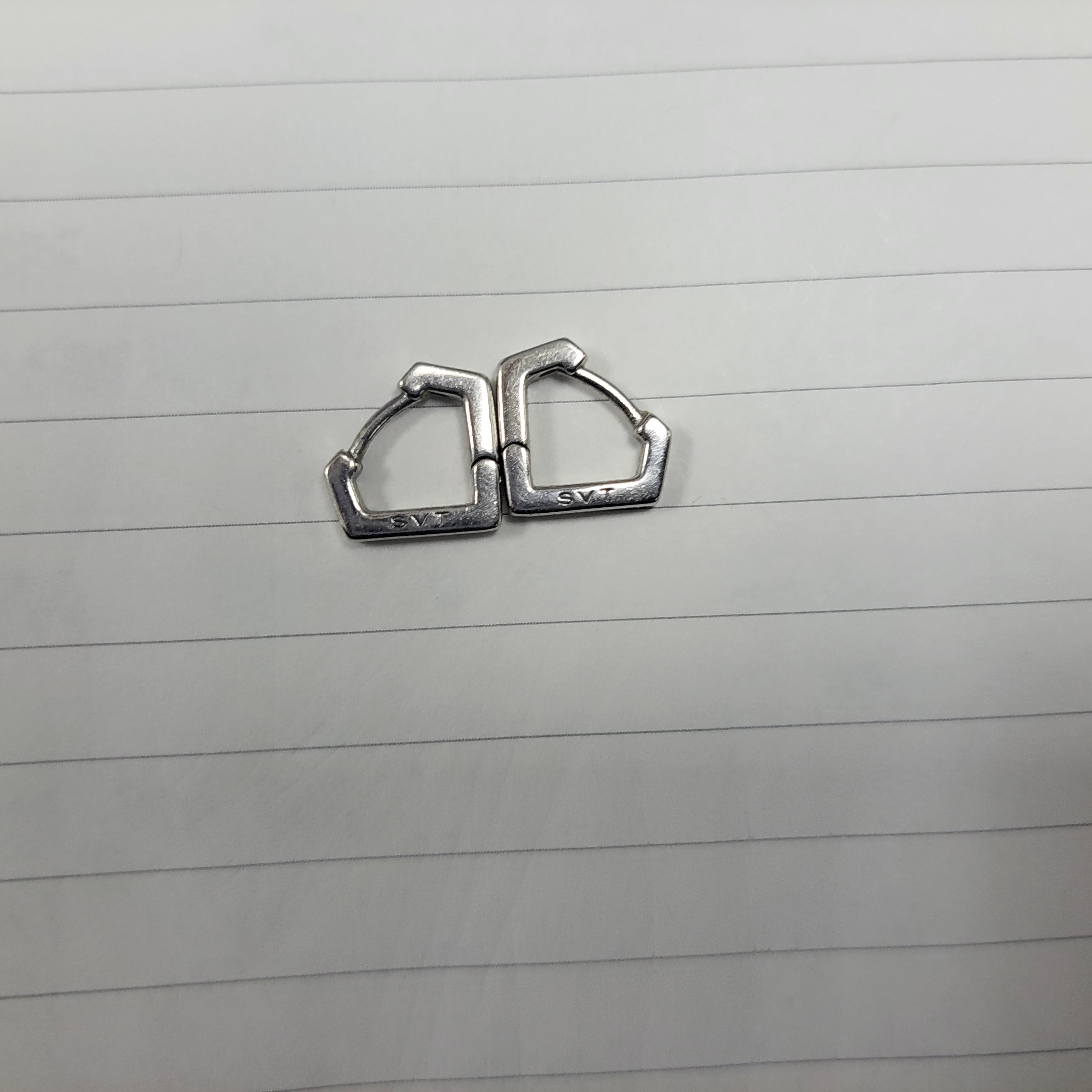 [잡담] 저 하루종일 세븐틴이랑 같이 다니는 여자에요 | 인스티즈