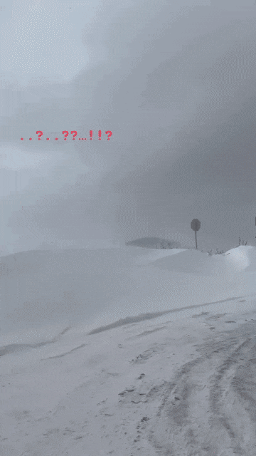 [잡담] 와 이승우 동계훈련갔다가 제주도 폭설와서 갇힘ㅜㅜㅜ | 인스티즈