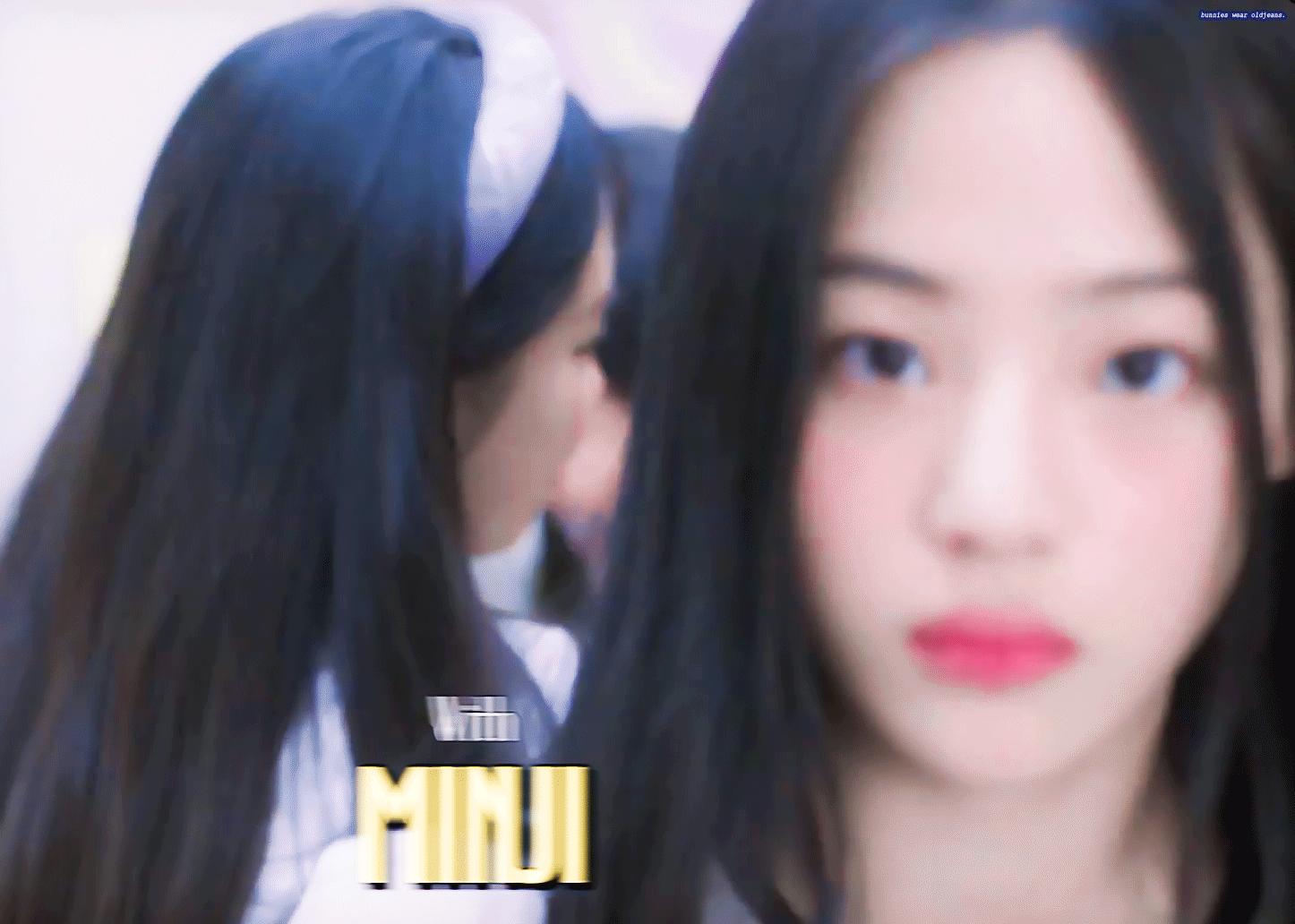 [잡담] 뉴진스 치트키조합 사랑혀 🐶🐱🐕🐈 | 인스티즈