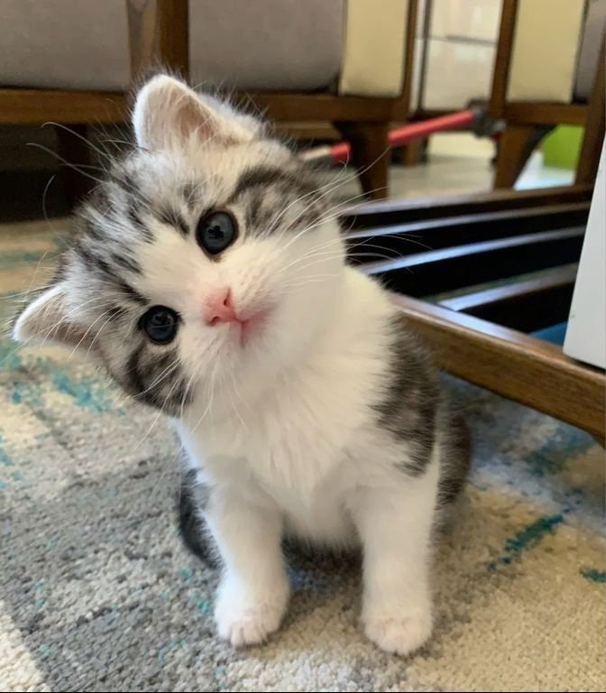 [잡담] 오늘뜬거 해린 과사가 아니라 | 인스티즈