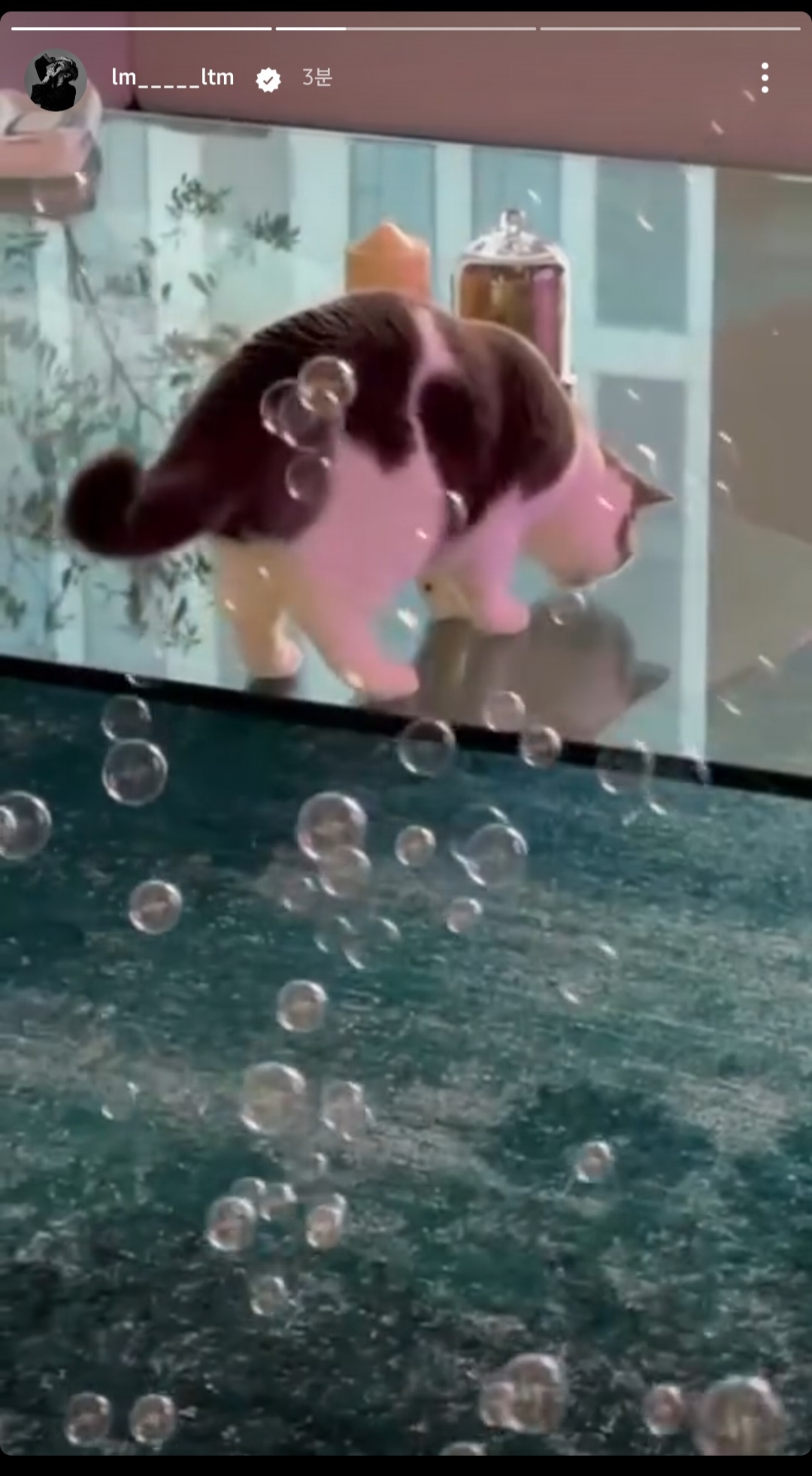 [잡담] 큰방익들아 미친 태민이 인스스 뜸 | 인스티즈