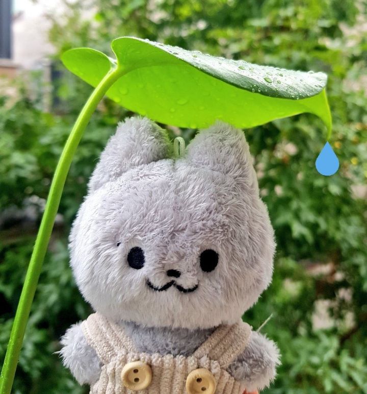 [잡담] 누구 인형들인지 알려줘ㅜ | 인스티즈