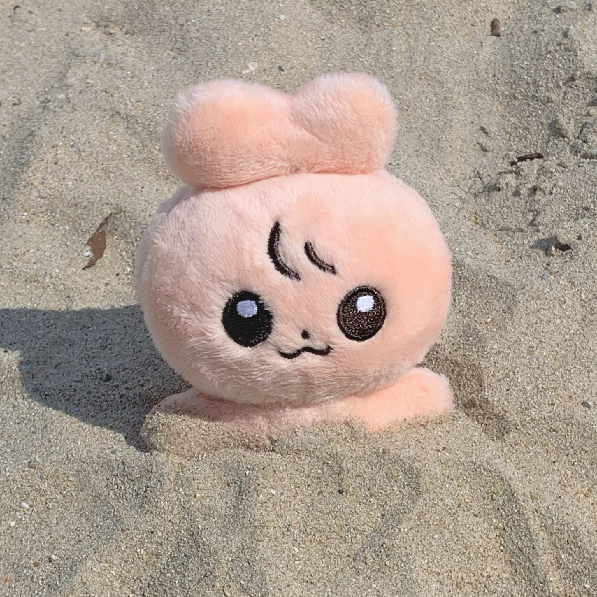 [잡담] 난 아이돌 토끼인형들이 너무너무 좋음.. | 인스티즈