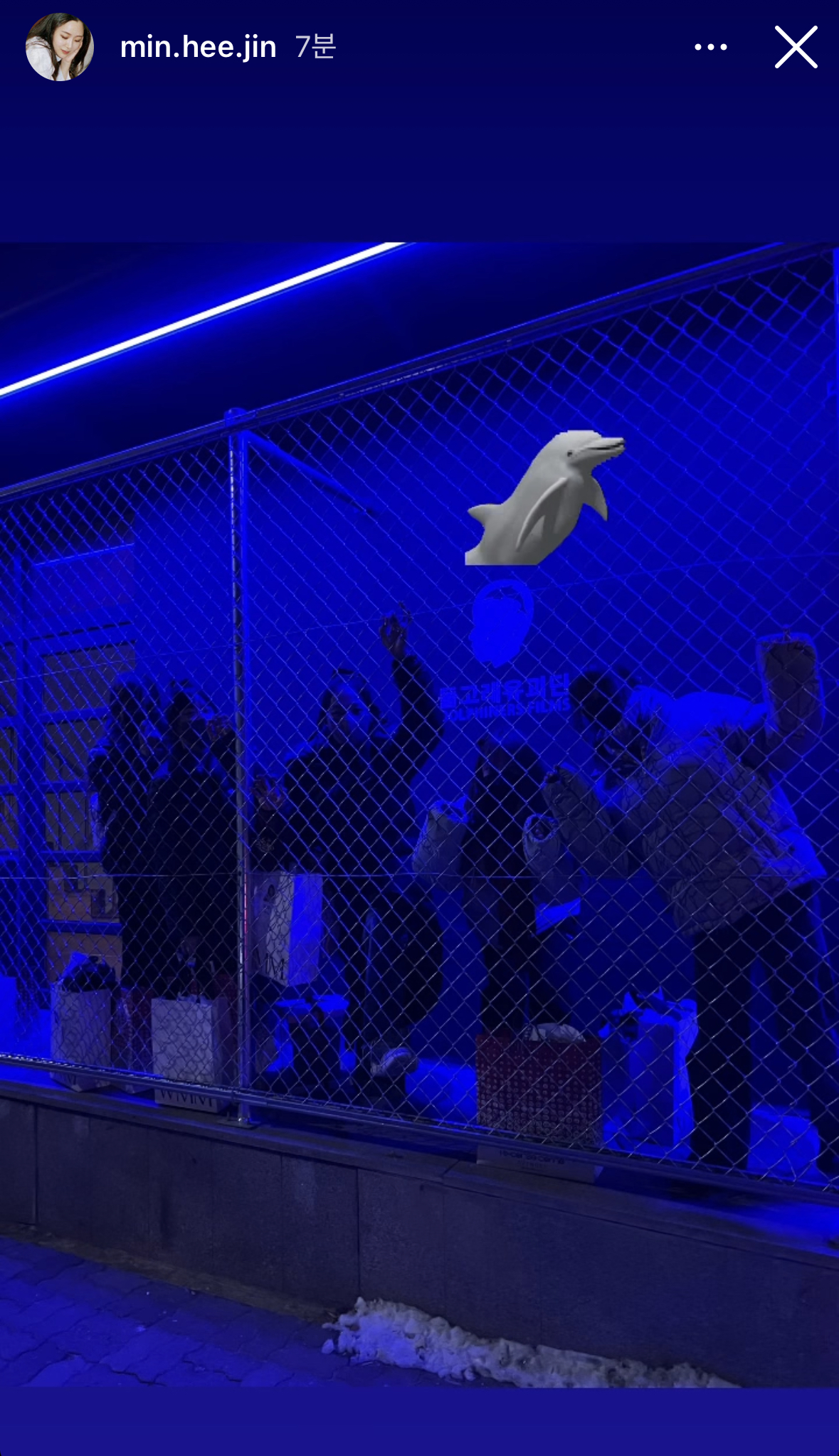 [잡담] 뉴진스 돌고래 유괴단도 다녀왔나보네 | 인스티즈