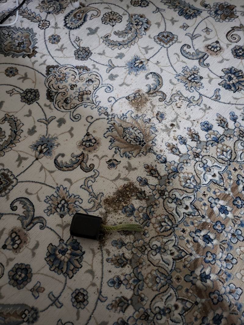 이거 어떻게하지...? 저 흙을 다시 넣어야되는데 | 인스티즈