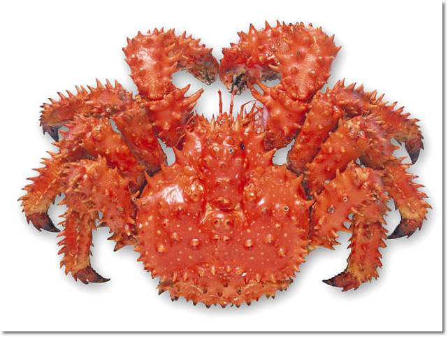 국물요리 좋아하는 익 꿀팁 | 인스티즈