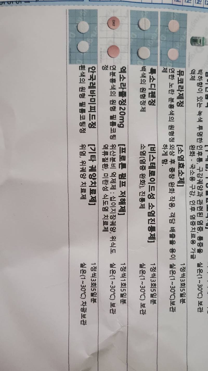 약대나 간호&의대 익 있어⁉️⁉️ | 인스티즈