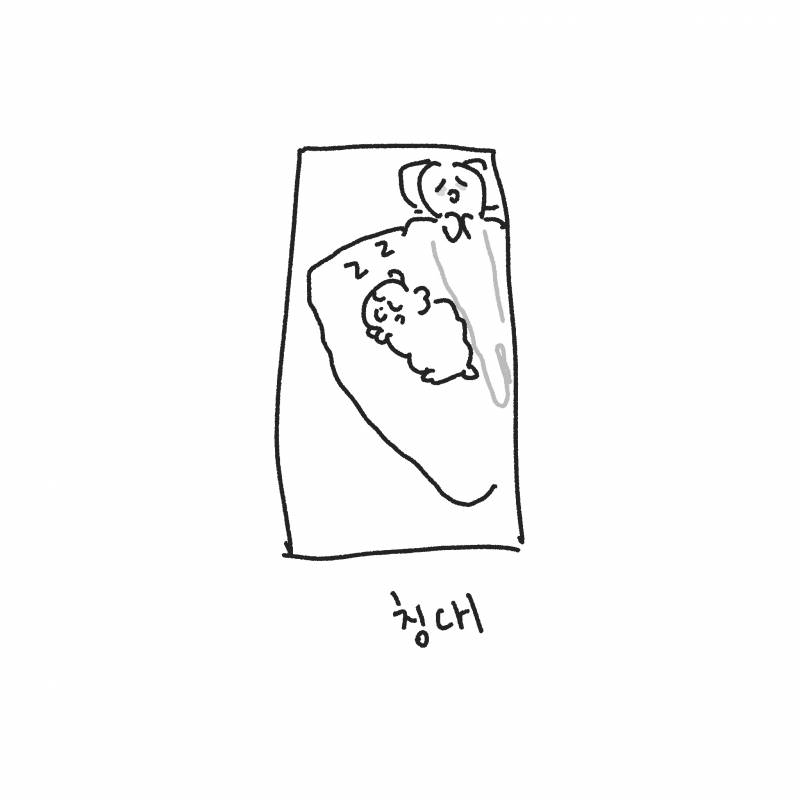 울집 강쥐때문에 자다 허리 박살날거같아서 깸... | 인스티즈