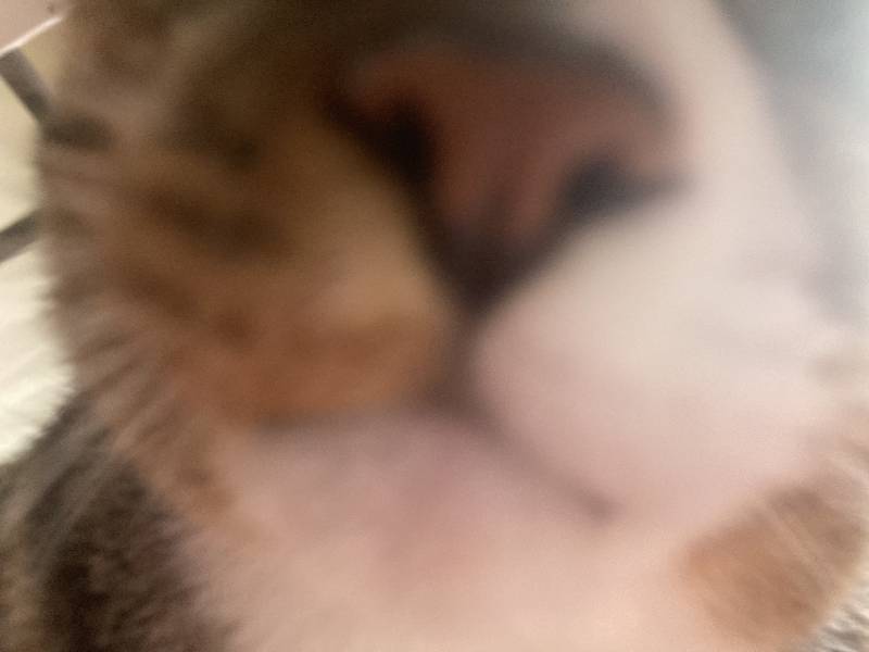 액정에 뽀뽀하면서 들어와봐 | 인스티즈