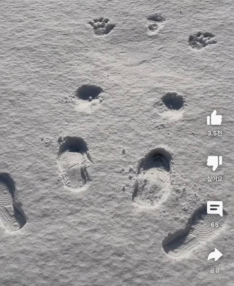 이해하면 안 되는 사진 | 인스티즈