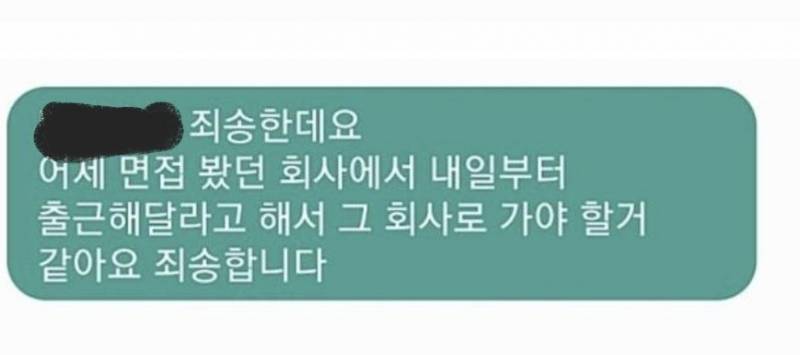 면접 합격한 회사에 이렇게 문자 보냈는데 예의 없어보여? | 인스티즈