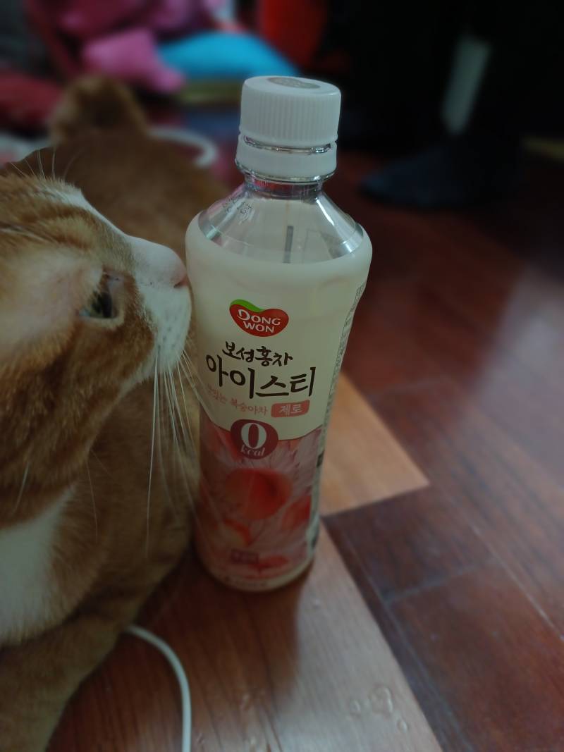 익들 이거 알아? 진짜 역대급 맛있는데 | 인스티즈