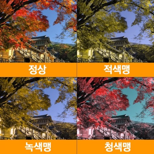 [잡담] 더 글로리 전재준이 보이는 세상 | 인스티즈